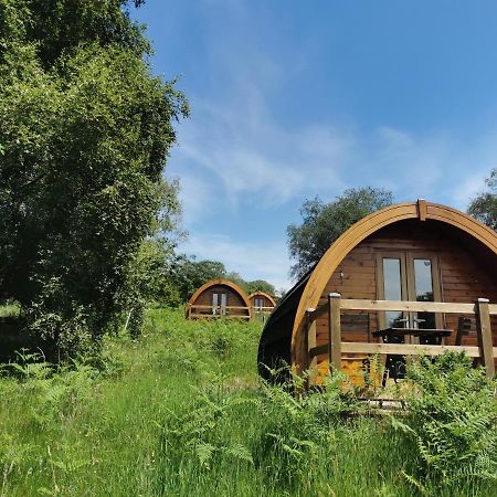 Glendalough Glamping - Adults Only Hotel Laragh Kültér fotó